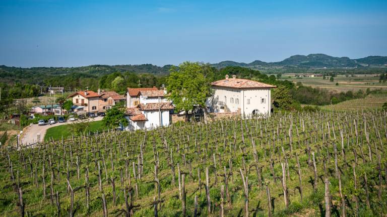 Agriturismo Borgo Gradisciutta: 11. Faggio — photo 3