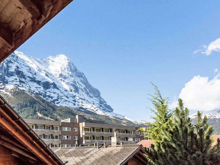 Ferienwohnung Grindelwald