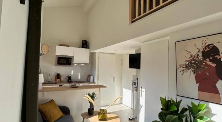 Fully equipped rental apartment | Suitable for remote work | Pets are welcome in Toulouse
