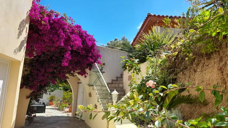 Appartement en copropriété Propriano