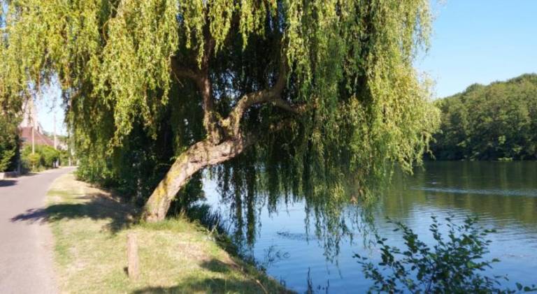 Calme au bord de l'eau — photo 5