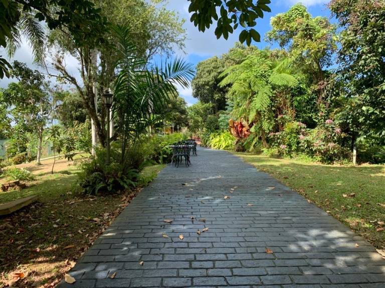 foto35