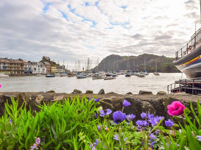 Cottage | Water view | Close to the beach | Dogs allowed in Ilfracombe