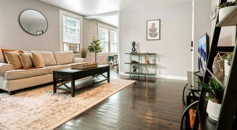 Beautiful apartment | Pets allowed in New Haven, CT