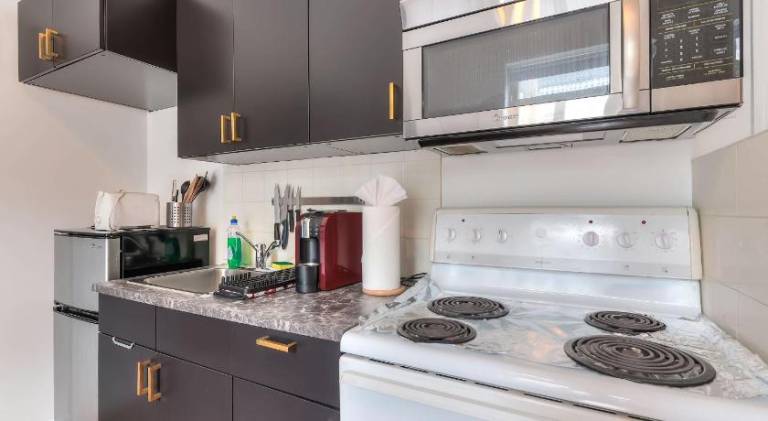 Beautiful rental apartment | Next to Notre-Dame Basilica | Dogs allowed — photo 4