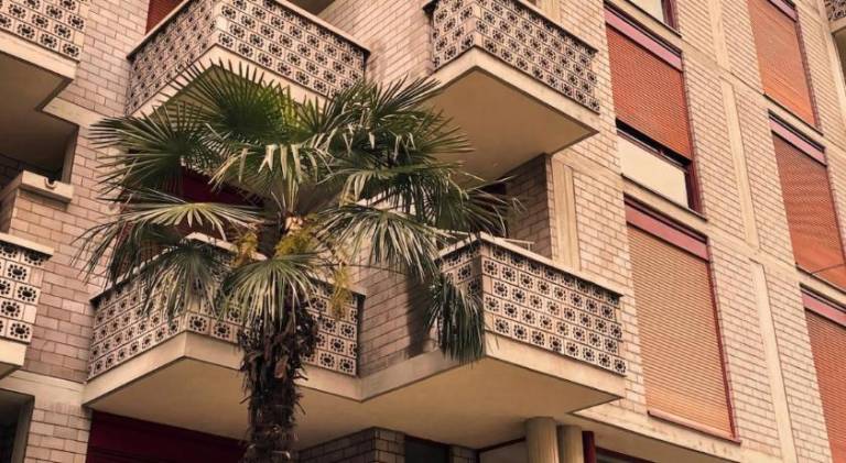 Rental apartment | Pets allowed — photo 4