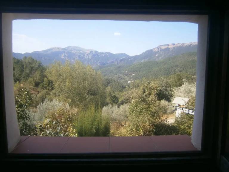 foto31