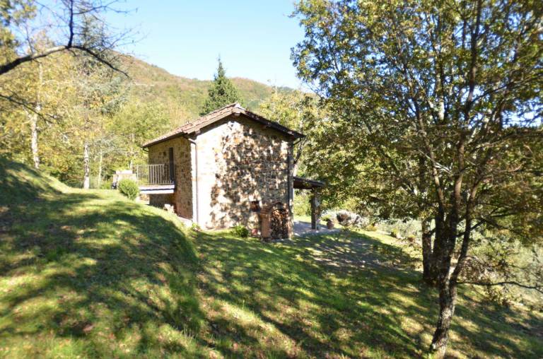 foto2