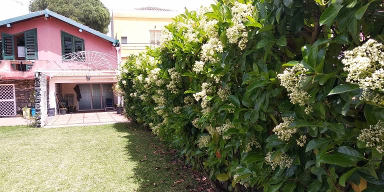 foto18