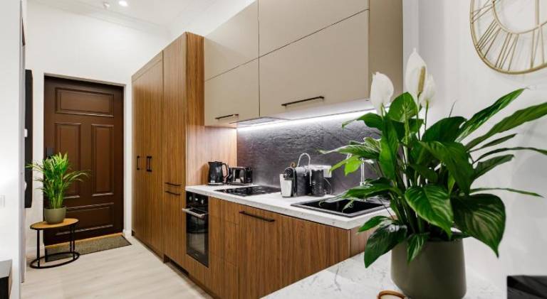 Beautiful serviced apartment | Close to House of the Blackheads | Pets are welcome — photo 5