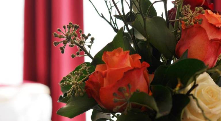 foto11
