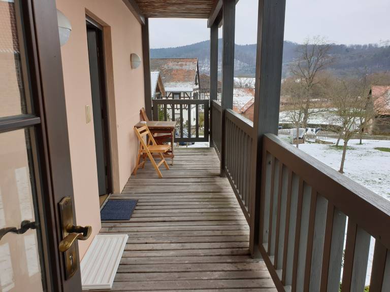 foto1