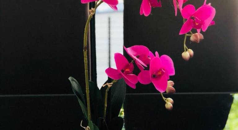 foto13