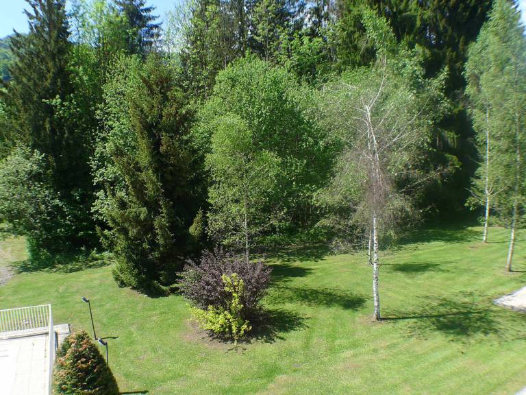 foto16