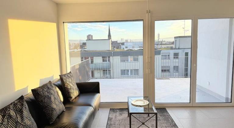 Holiday apartment with 3 rooms for 9 persons in Muttenz