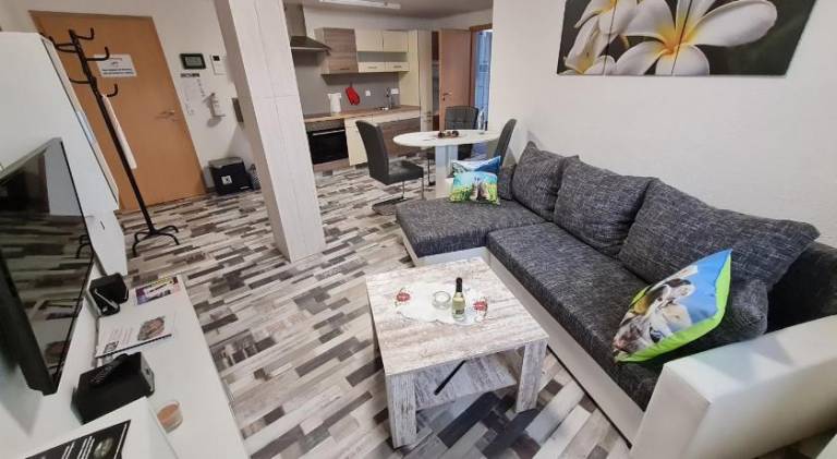 Spacious rental apartment with private pool, sauna & terrace | Dogs allowed — photo 2