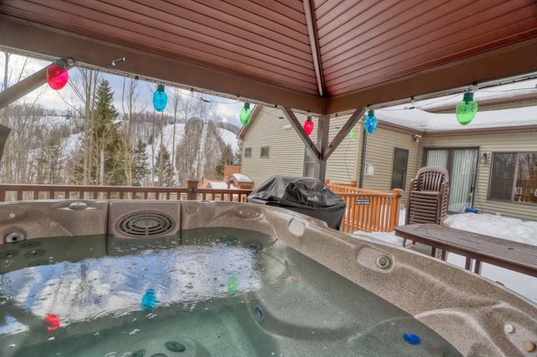 House Ellicottville