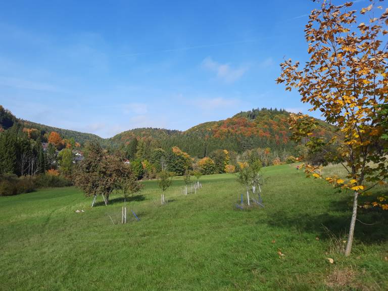 foto20
