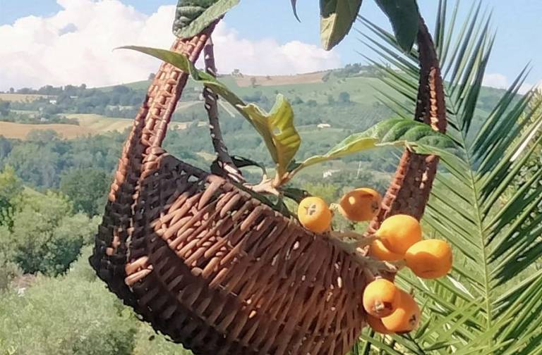 La Meridiana BIO Agriturismo: Medioevo - camera matrimoniale, colazione su richiesta — photo 4