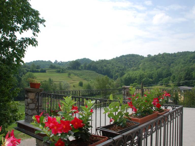 foto33
