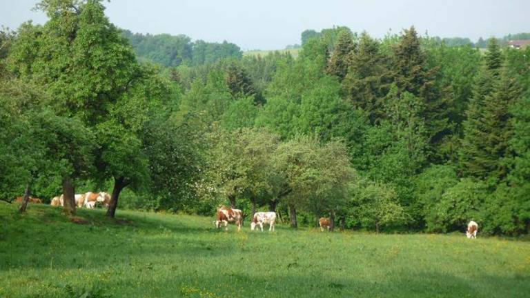 Ferienwohnung Prien am Chiemsee