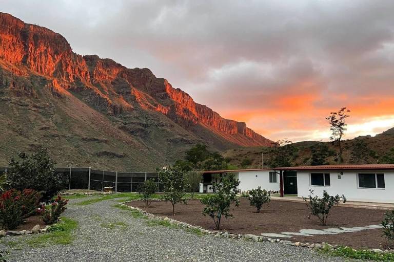 Ferienhaus  Fataga