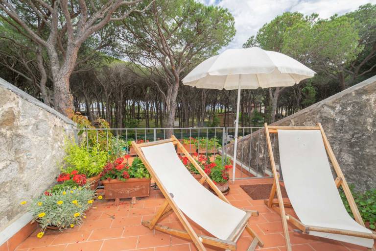 Fully equipped holiday apartment with garden & terrace | Pets are welcome — photo 3
