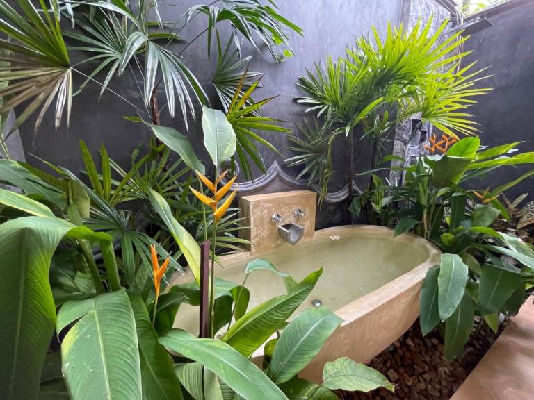 foto26