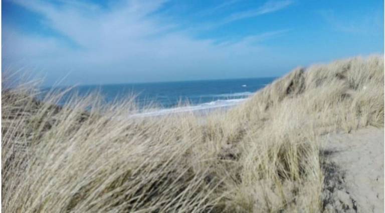 Ferienwohnung Westerland