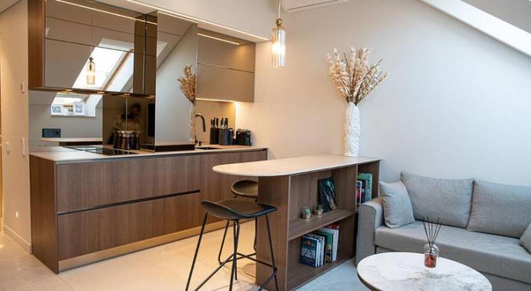 Rental apartment | Dogs allowed in Kaunas