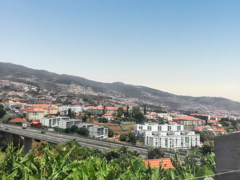 Charming House in Funchal with Sea View in Funchal