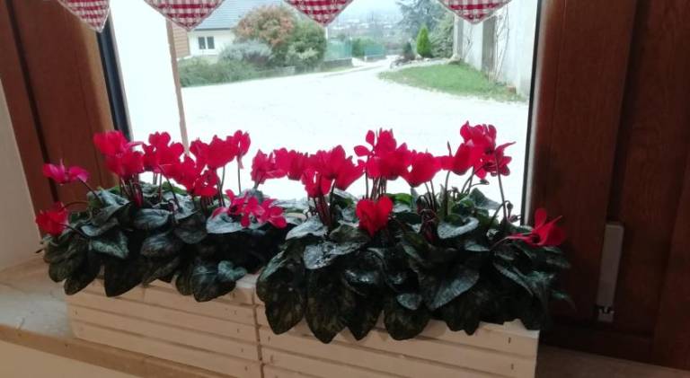 foto25