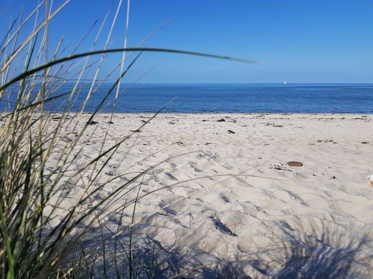 foto16