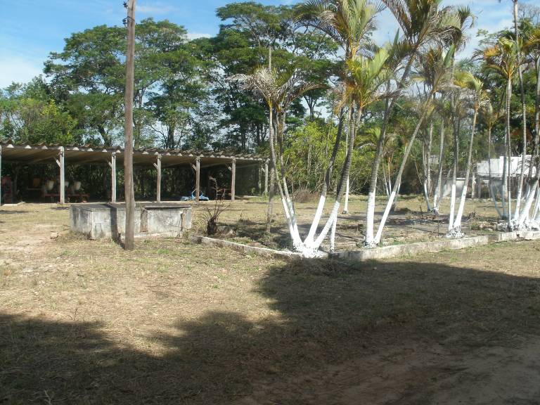 foto42