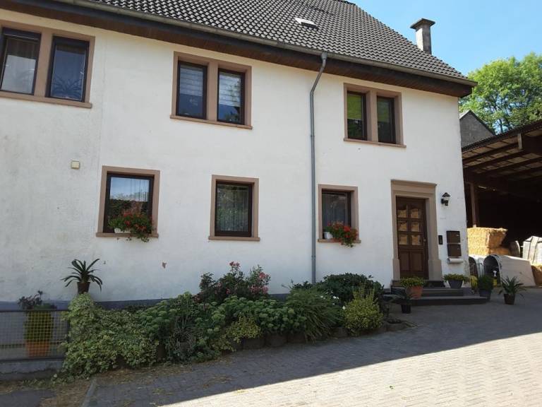 foto1