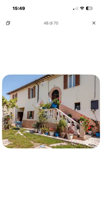 Holiday apartment with garden | Nature view | Pet-friendly — photo 2