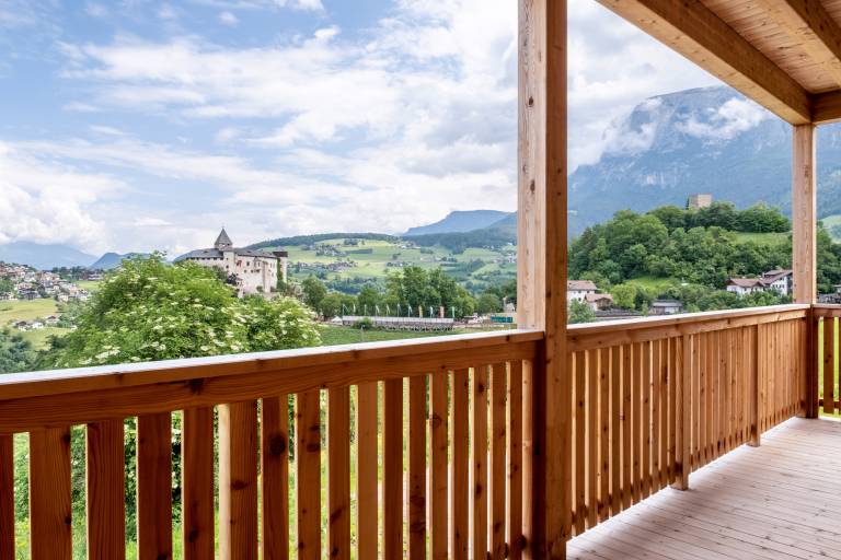 Apartment "Schlosshof Hoamat" with Mountain View, Terraces & Wi-Fi — photo 3