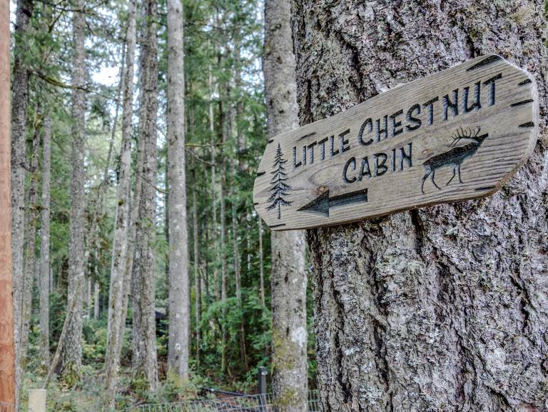 Little Chestnut Cabin — photo 3