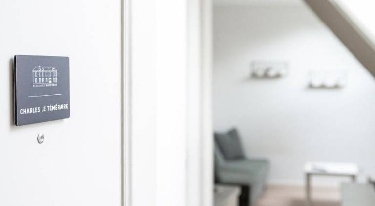 Lovely rental apartment | Pet-friendly — photo 4