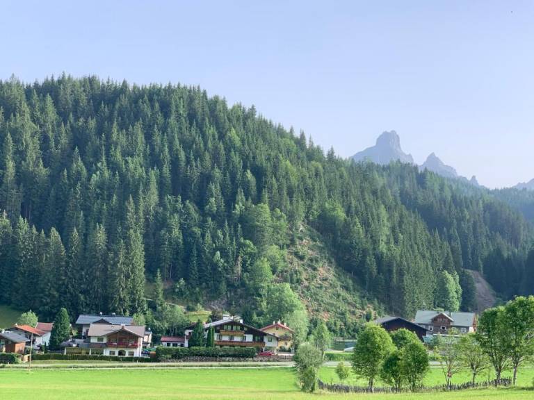foto10