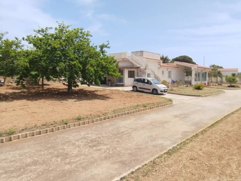 foto2