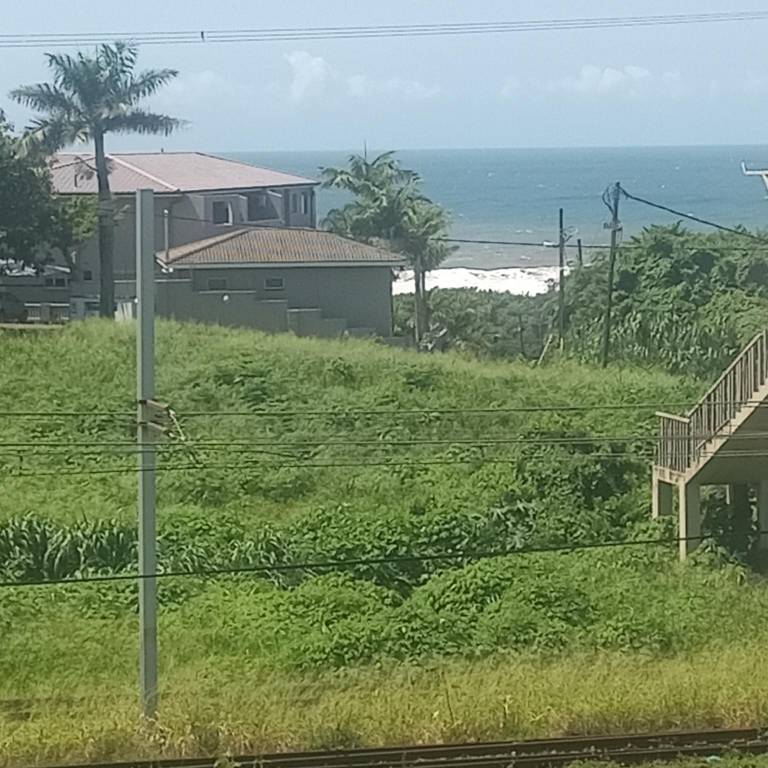 foto14
