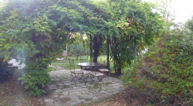 foto12