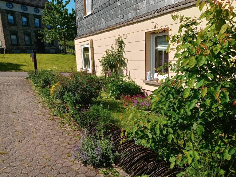 foto16