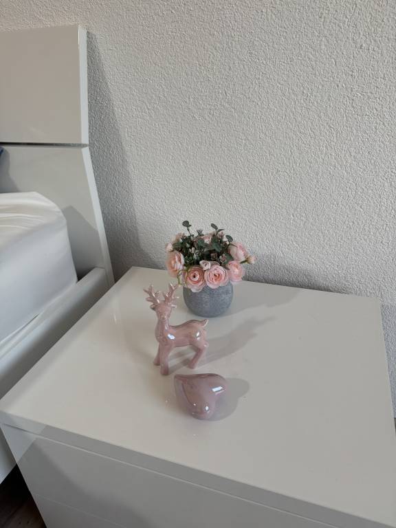 foto8