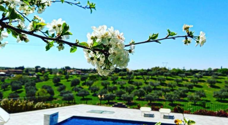 Agriturismo Formello