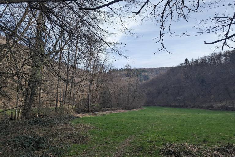 foto14