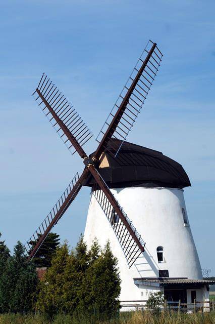 foto1