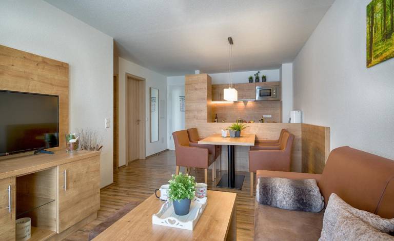 Fully equipped pleasant holiday apartment with jacuzzi & terrace | Ski nearby | Dogs allowed in Feldberg