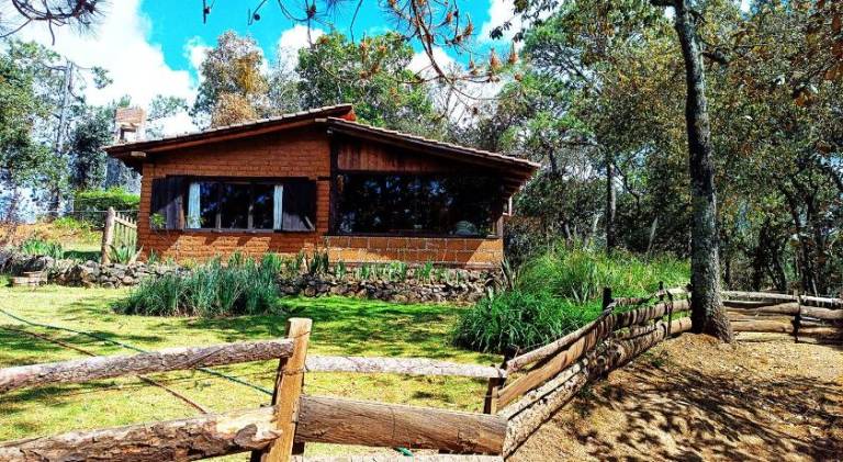 Cabana en medio del bosque ZA